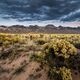 Open Standards for Conservation Planning Training