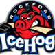 Honors House Rockford Ice Hogs Trip