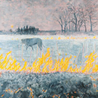 Picturing Kansas