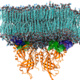 Molecular Simulations: Coming of Age