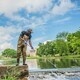 Student Engagement Fund Study Abroad Applications Open