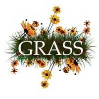 Group Recycling And Sustainable Solutions (GRASS) Relaunch!
