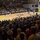 Banana Slugs at the Santa Cruz Warriors