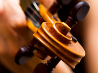 Nightingale String Quartet