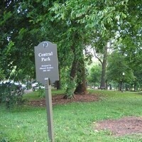 Central Park Improvement Day