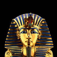 The Discovery of King Tut