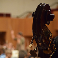 University Double Bass Studio