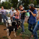 Agriculture and Food Experiential Weekend