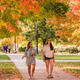 MENV Prospective Student Info Session