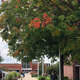 Academic Scholarship Day - 9:00 AM Session