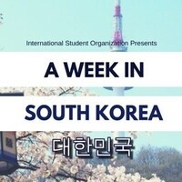 Seoul-Style Night