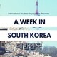 Seoul-Style Night