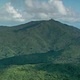 Do Caribbean Streams have Memory? Long-Term Effects of Hurricane and Droughts on Distributions of Freshwater Shrimp in the Luquillo Mountains, Puerto Rico