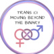 Trans 101 Moving Beyond the Binary