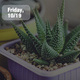 Fri-YAY Nights: Plant Party