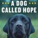 TR Vet Success Center Event: Jason Morgan's Book Signing