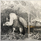 Exhibiting Artist Talk: HUMAN NATURE by Carla Stetson (faculty, Art, Education)