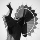 Patriot Nations: Native Americans in Our Nation's Armed Forces