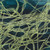 Exhibition: "Out of the Darkness: Light in the Depths of the Sea of Cortez"