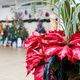 State Botanical Garden Holiday Open House