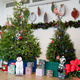 Workshop: Holiday Décor: Wreaths, Centerpieces, and More