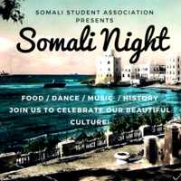 Somali Night