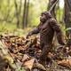 An Intimate Podcast Celebration of Sasquatch Proportions with Laura Krantz