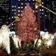 $5 Trip to NYC