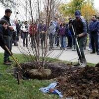 Campus Tree Advisory Committee - Fall 2018 Meeting