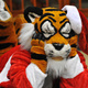 Holiday ROAR Luncheon