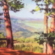Open Space Visions: Presentation and Book Signing
