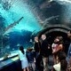 City or Sea- Trip to Philadelphia or the Camden Aquarium YOU CHOOSE
