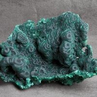 EXHIBITION - Recent Gifts