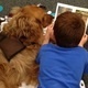 Animal Assisted Intervention for Children with Neurodevelopmental Disorders