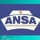Arlington Nursing Student Addociation
