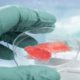 Leveraging Advances in Biomedicine Toward the Development of the Clean Meat Industry