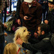 Bark Buddies at Norlin Library
