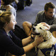 Bark Buddies at the Music Library