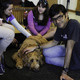 Bark Buddies at the Business Library