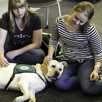 Final Bark Buddies at Norlin Library