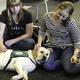 Final Bark Buddies at Norlin Library