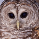 Family Day: Nature Never Sleeps