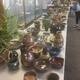 Holiday Pottery Sale