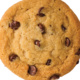 Holiday Cookie Social - Statesboro