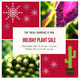 Holiday Plant Sale