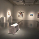 Bachelor of Fine Arts Exhibition