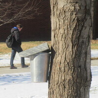 Maple Tapping Workshop!