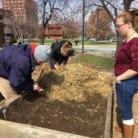 Garden Commons Spring Workdays