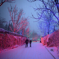 ZooLights