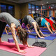 YogaFit: Anatomy and Alignment